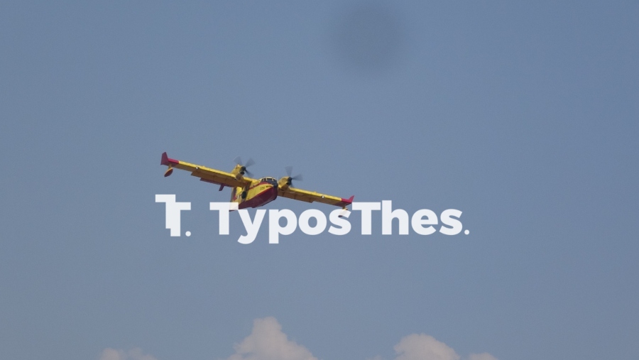 fotia-trilofos-petzetel.jpg fotia-trilofos-petzetel.jpg