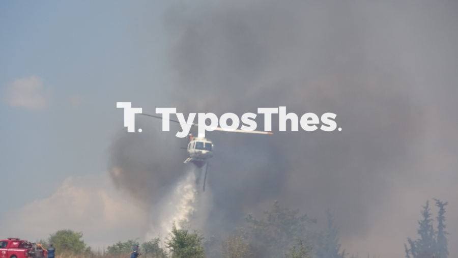 fotia1.jpg fotia1.jpg