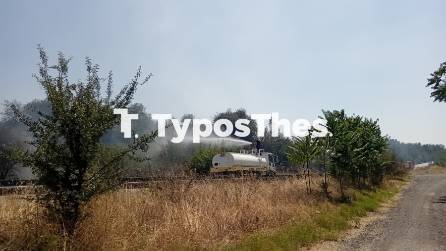 fotia.jpg fotia.jpg