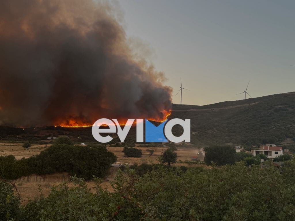 fwtia_evia2.jpeg fwtia_evia2.jpeg