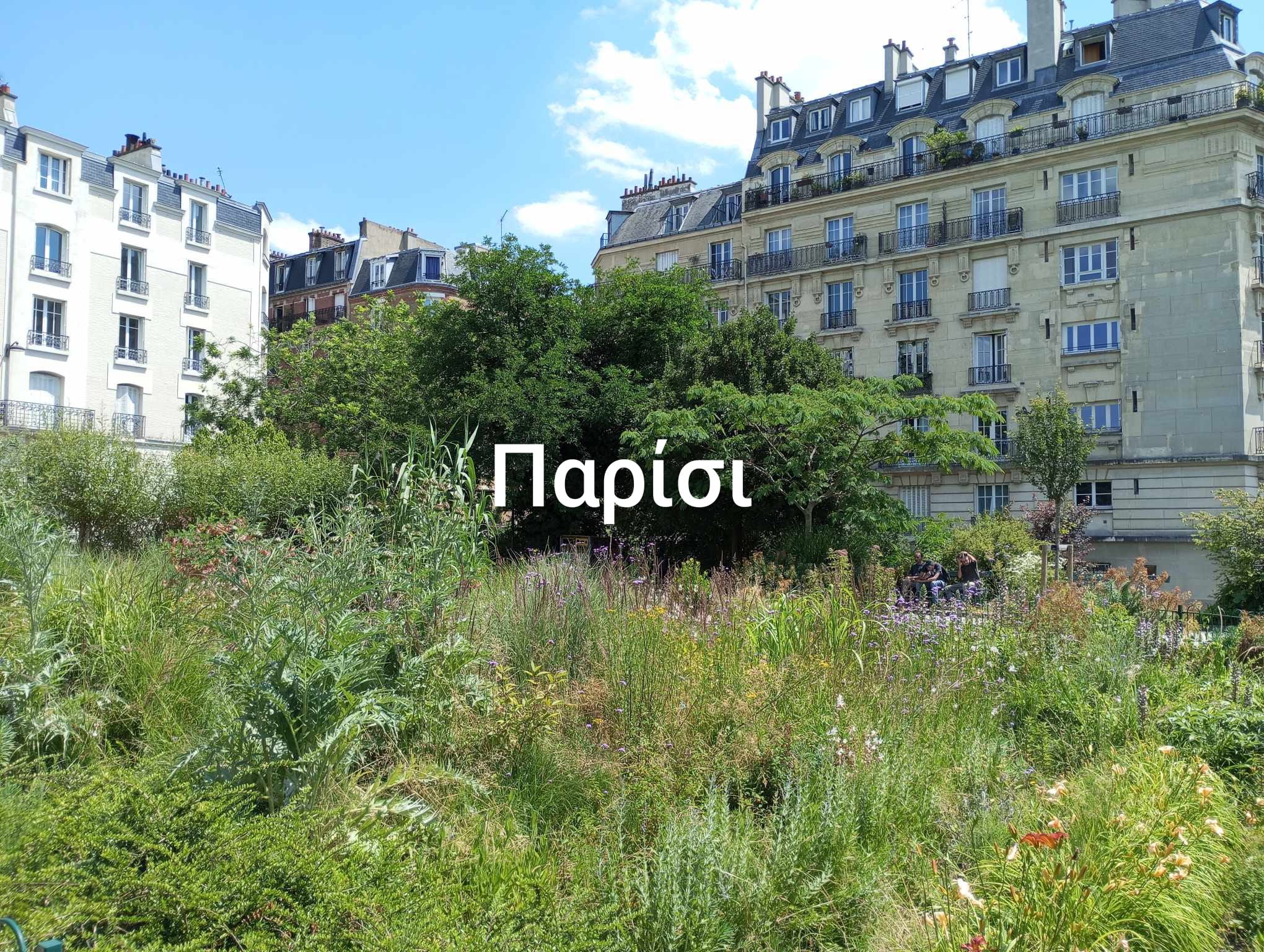 paris.jpg paris.jpg