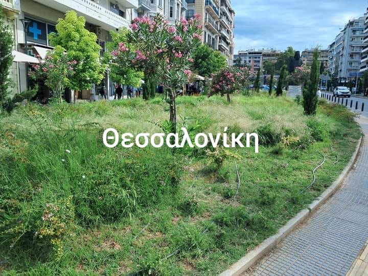 parteri-agias-sofias.jpg parteri-agias-sofias.jpg