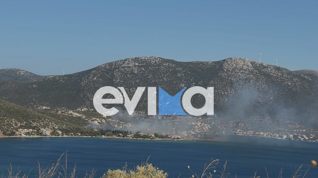 pirkagia_evia.jpeg pirkagia_evia.jpeg
