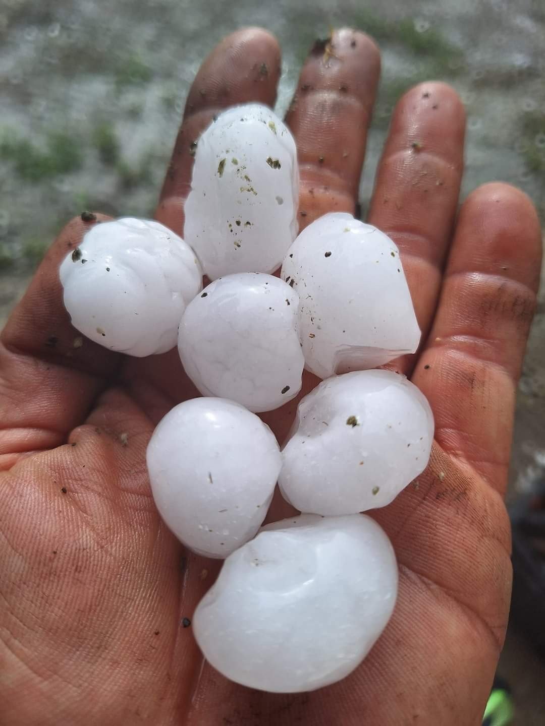 xalazi_edessa_1.jpg xalazi_edessa_1.jpg
