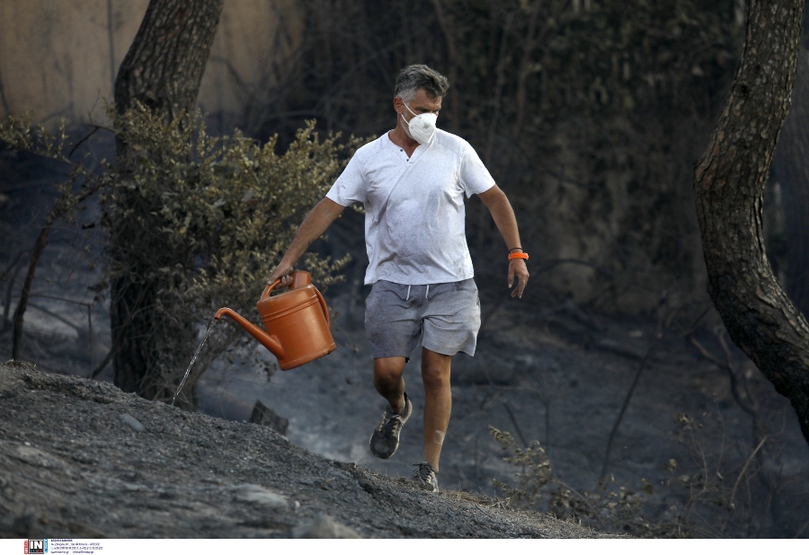 fotia-penteli_9.jpg fotia-penteli_9.jpg