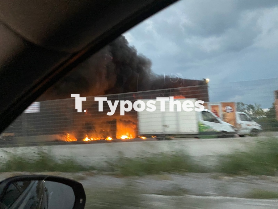 fotia.jpg