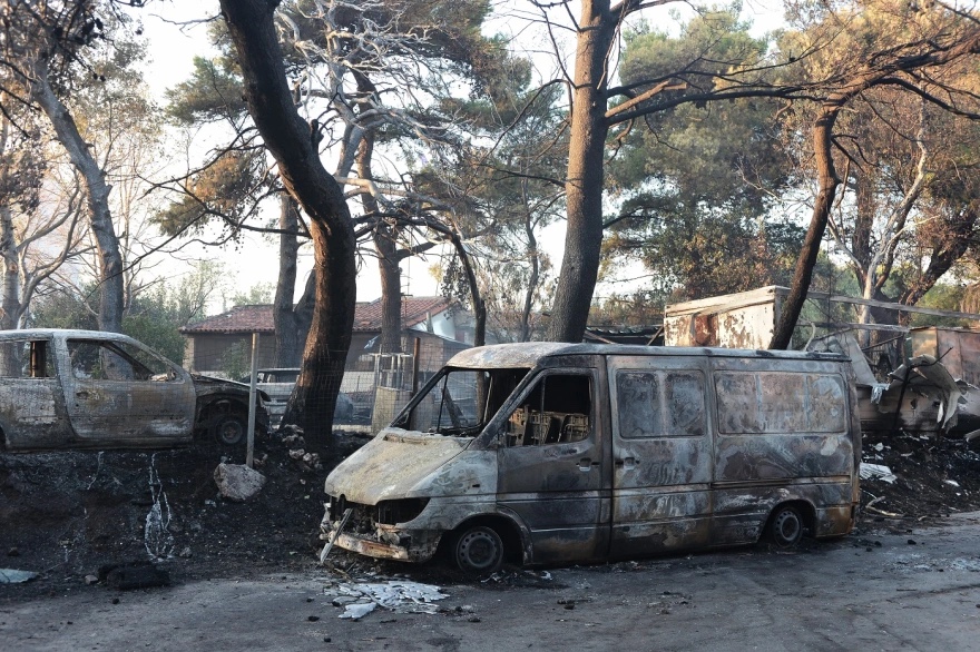 fotia_attiki_3.jpg fotia_attiki_3.jpg