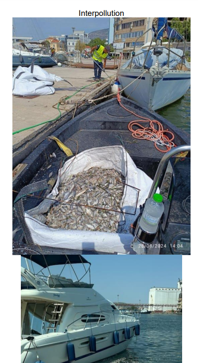 image-87.png image-87.png