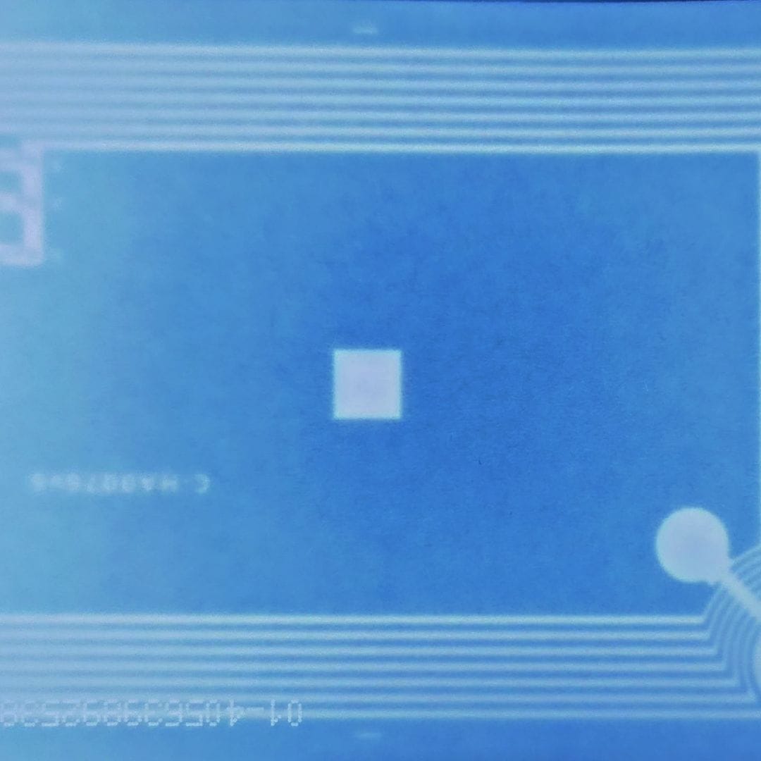 461585385_1070603124429804_6255965987099920238_n.jpg 461585385_1070603124429804_6255965987099920238_n.jpg