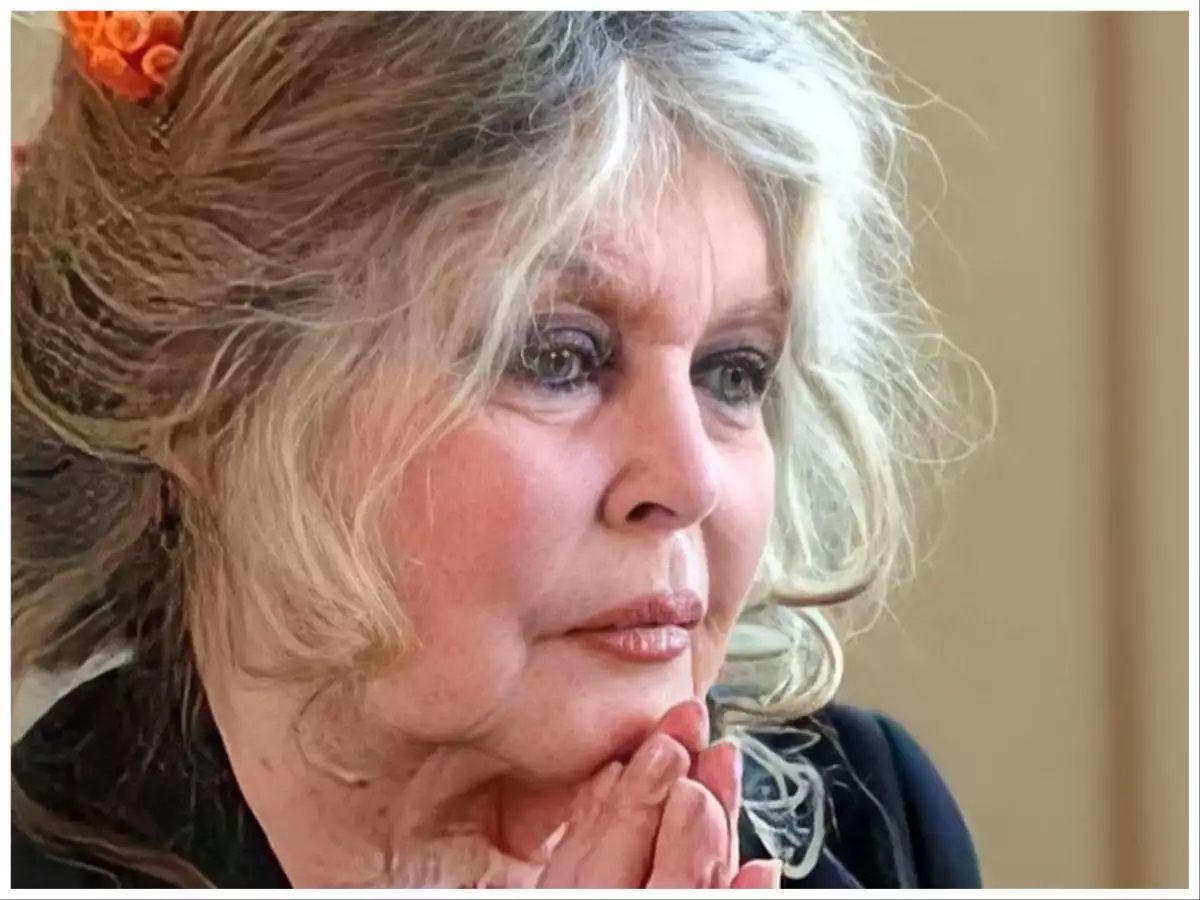 bardot.jpg bardot.jpg