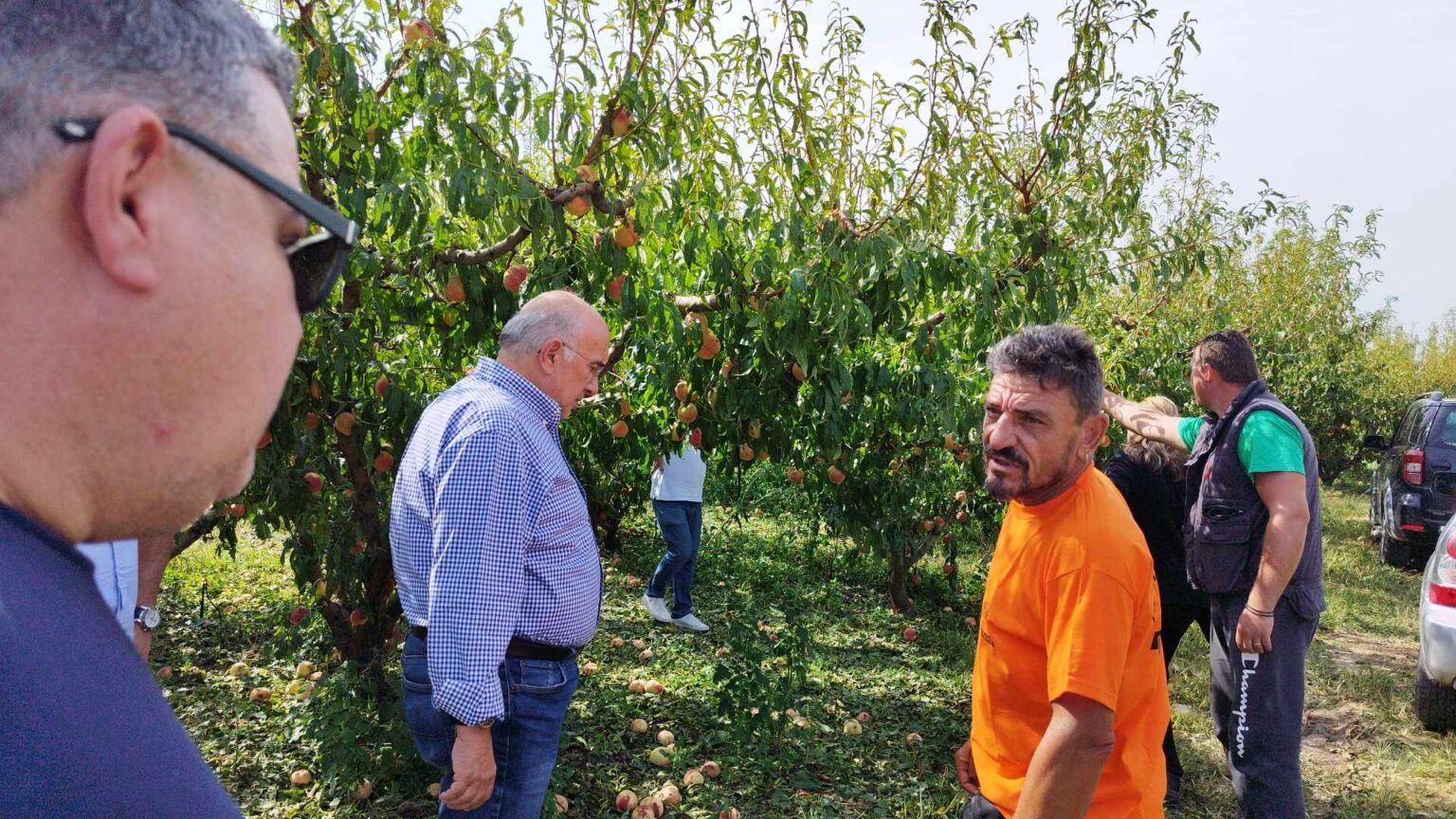 katastrofes_xalazi_belbento_2.jpg katastrofes_xalazi_belbento_2.jpg