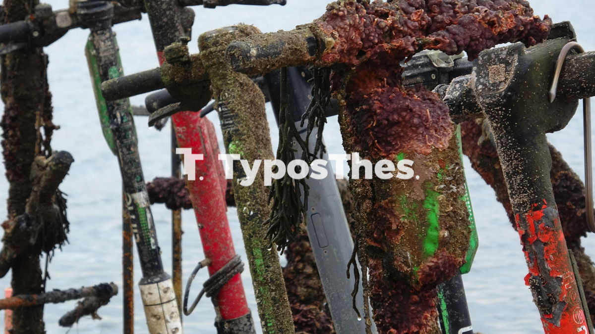 katharismos_thermaikos_dytes13.jpg katharismos_thermaikos_dytes13.jpg