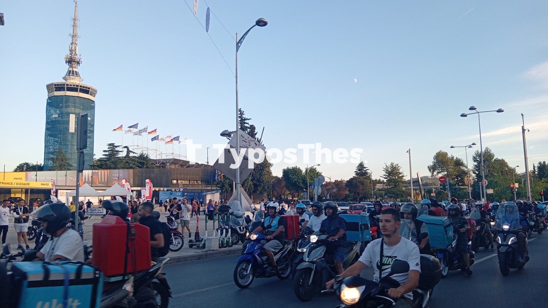 poria1.jpg poria1.jpg