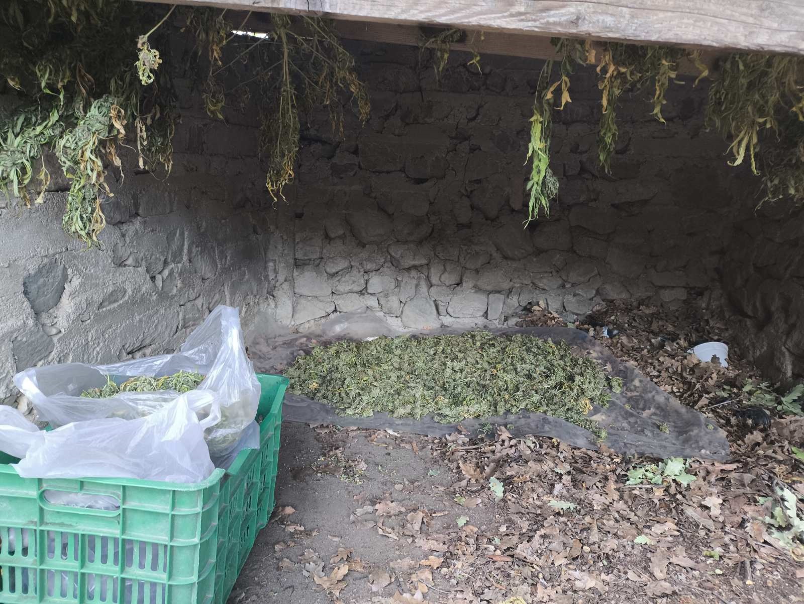 foto_1_apo_3_ya_serron.jpg foto_1_apo_3_ya_serron.jpg