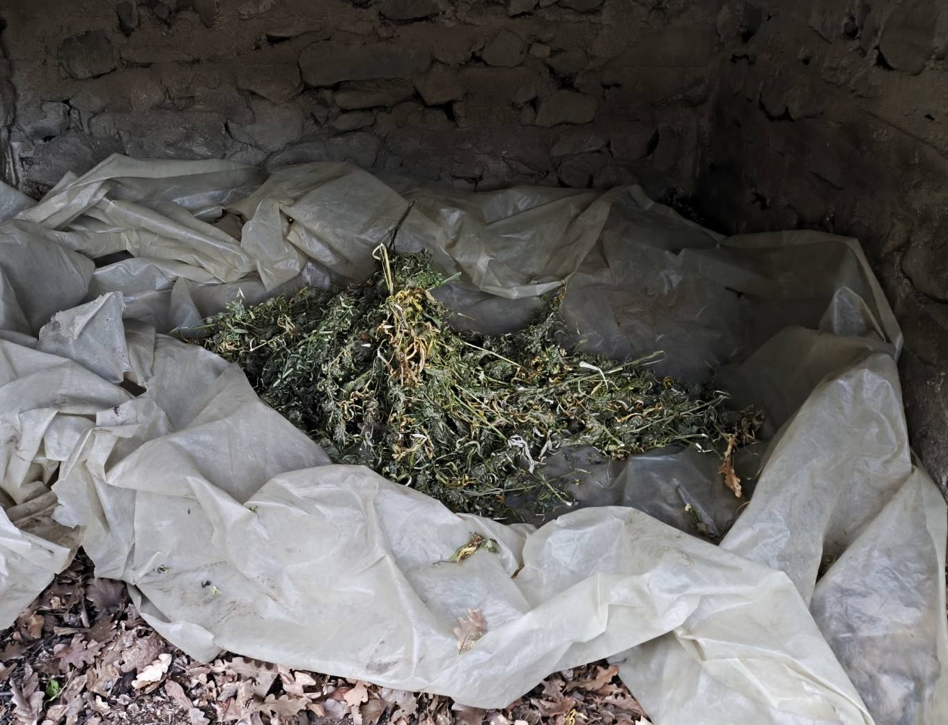 foto_3_apo_3_ya_serron.jpg foto_3_apo_3_ya_serron.jpg