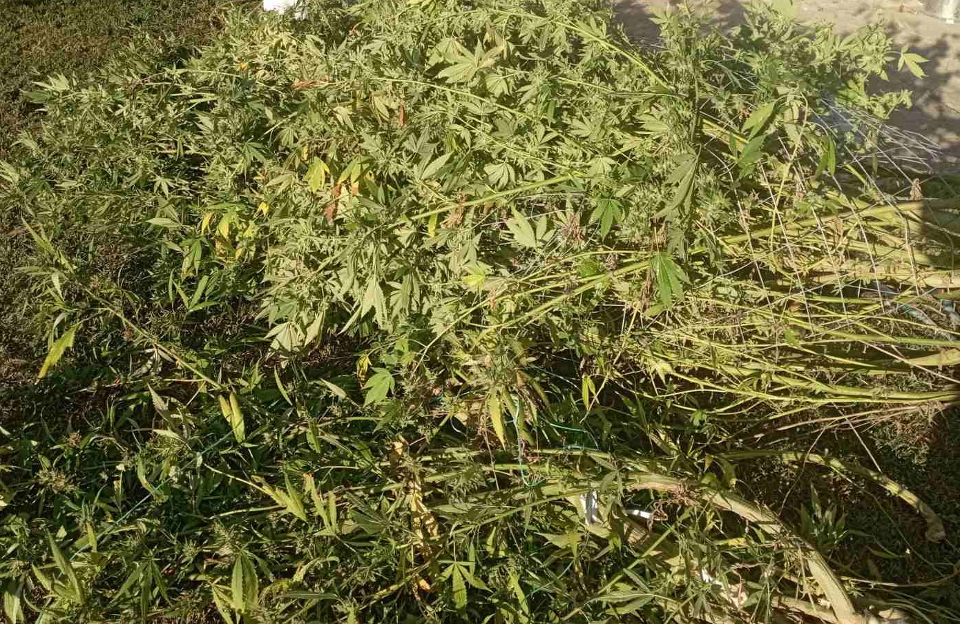 katashesi_ta_beroias_2_apo_3.jpg katashesi_ta_beroias_2_apo_3.jpg