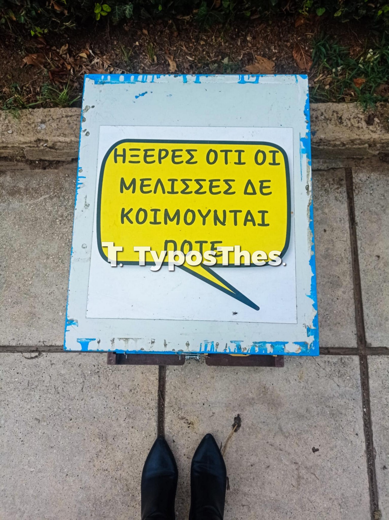 meli.jpg meli.jpg
