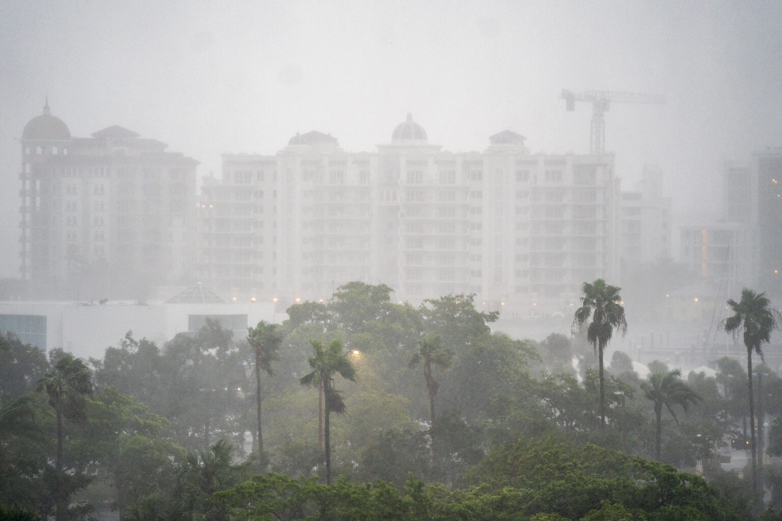 milton_florida_3.jpg milton_florida_3.jpg