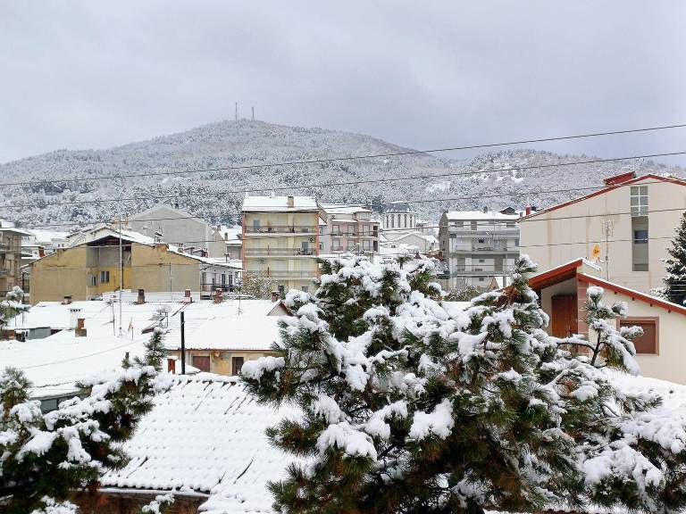 florina3.jpg florina3.jpg