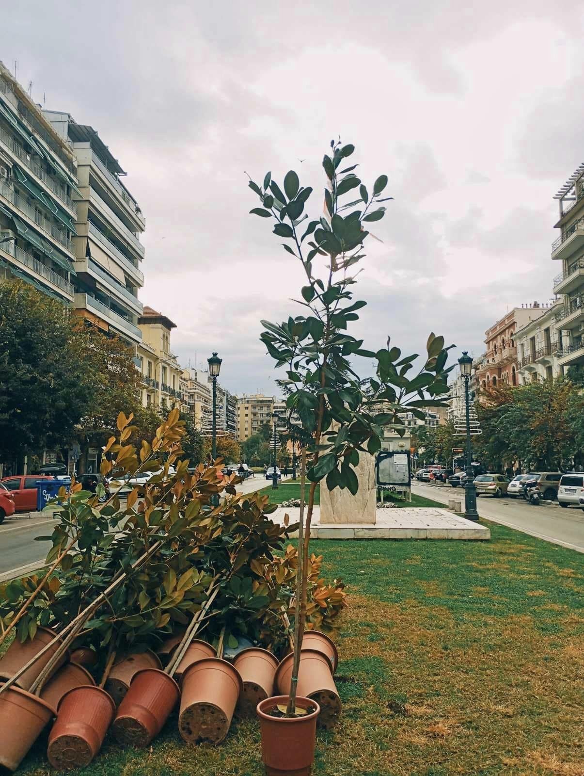 manolies_dentra_2.jpg manolies_dentra_2.jpg