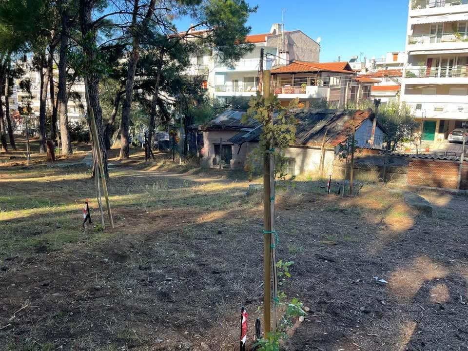 nea_dentra_3.jpg nea_dentra_3.jpg