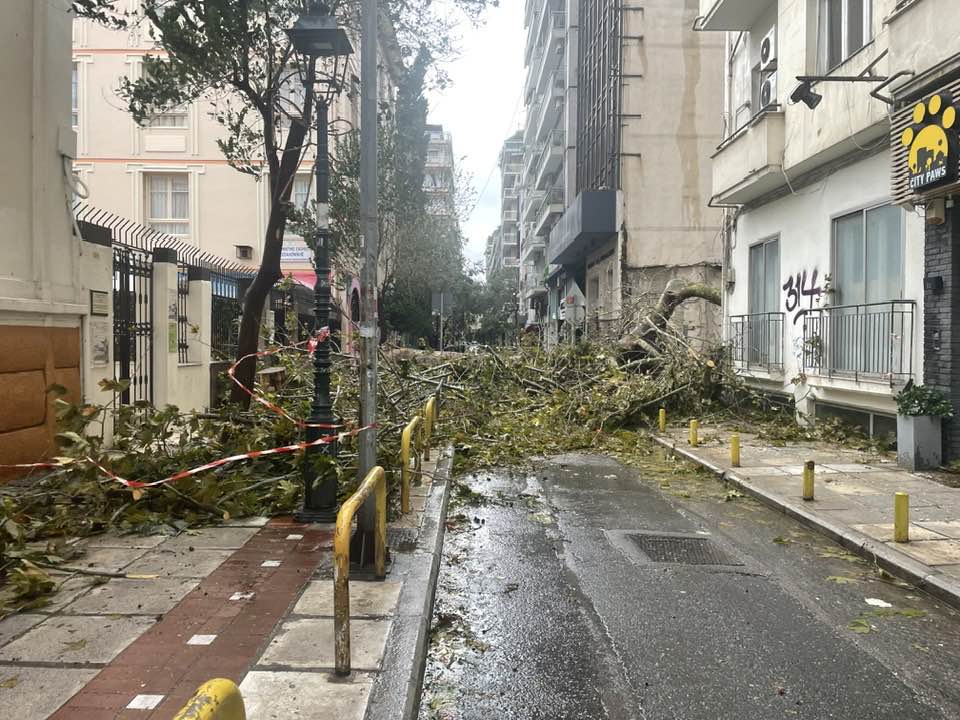 bora-4.jpg bora-4.jpg
