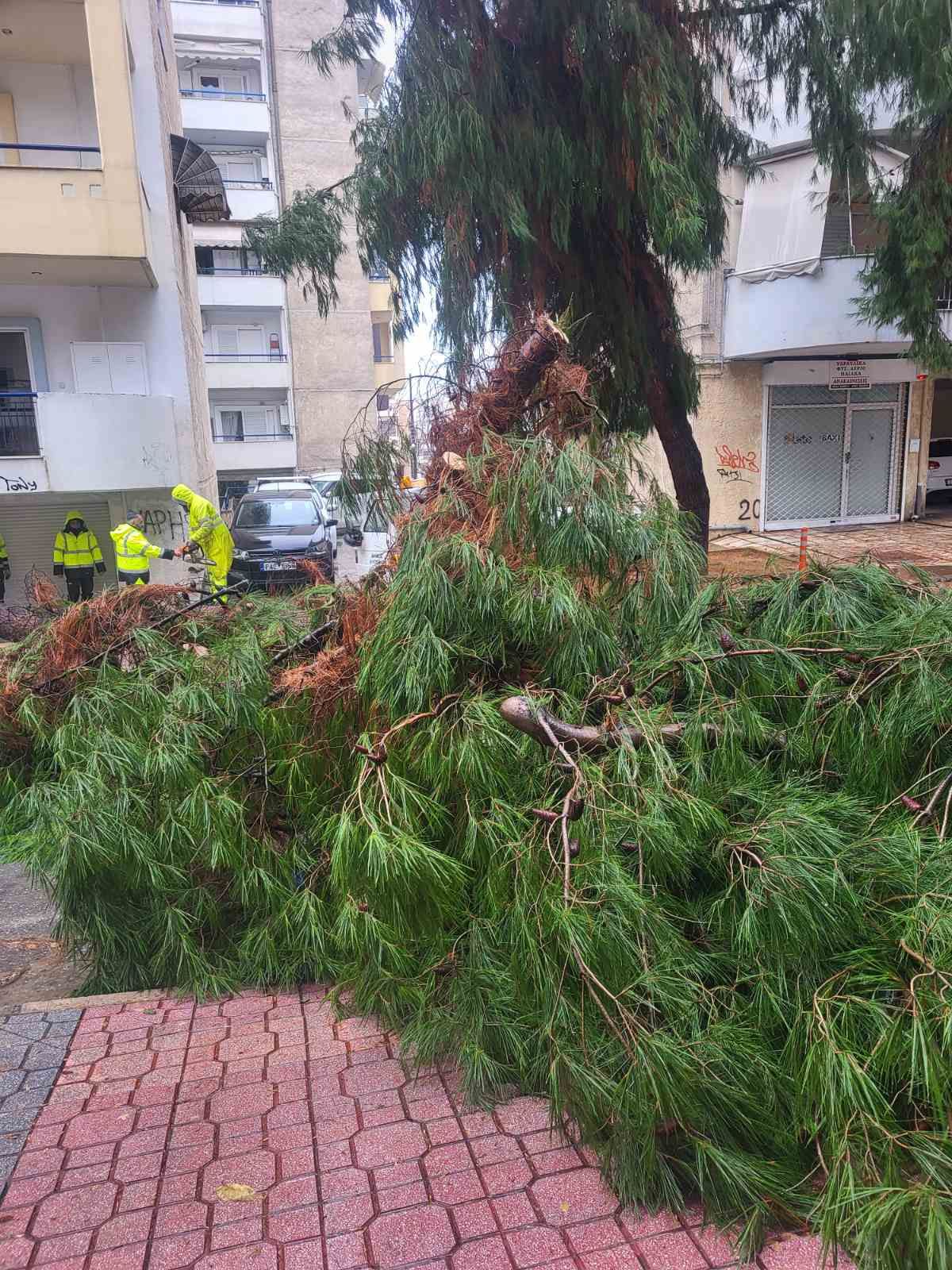 kakokairia_kordelio_eyosmos_6.jpg kakokairia_kordelio_eyosmos_6.jpg