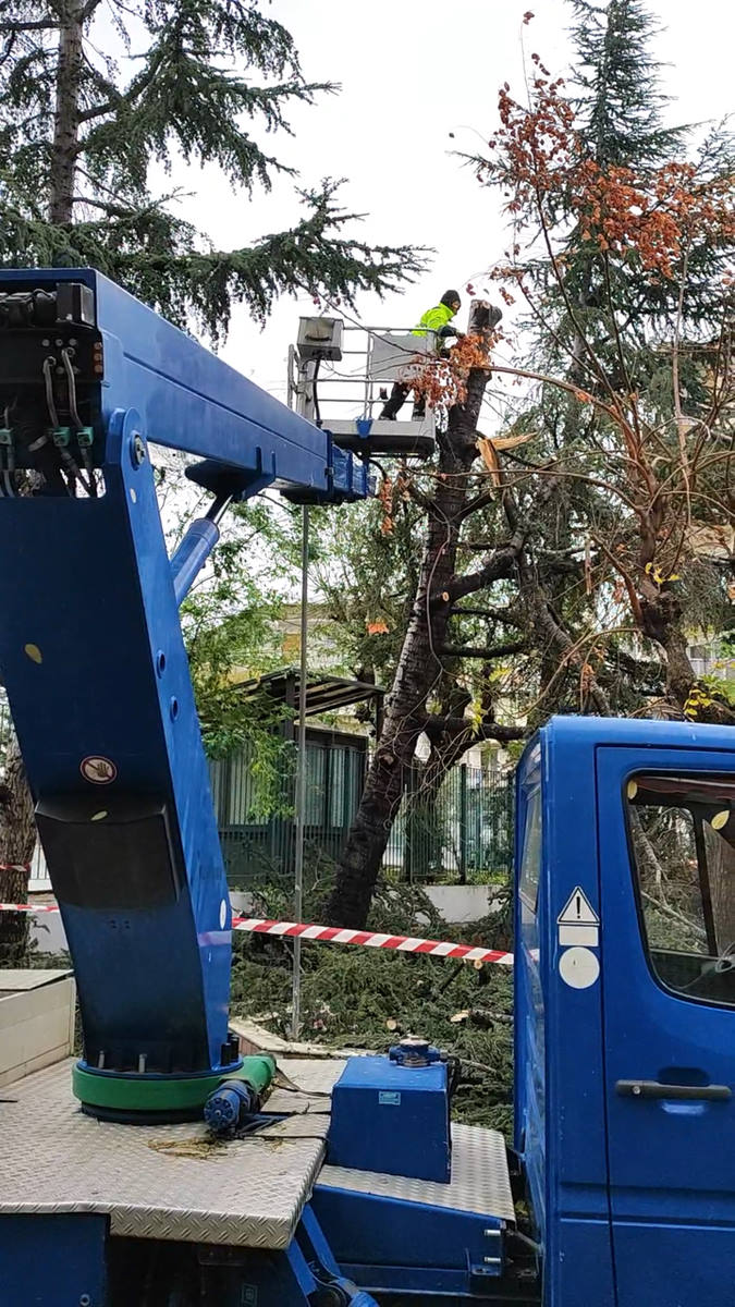 kopi_kladia_dentro_1.jpg kopi_kladia_dentro_1.jpg