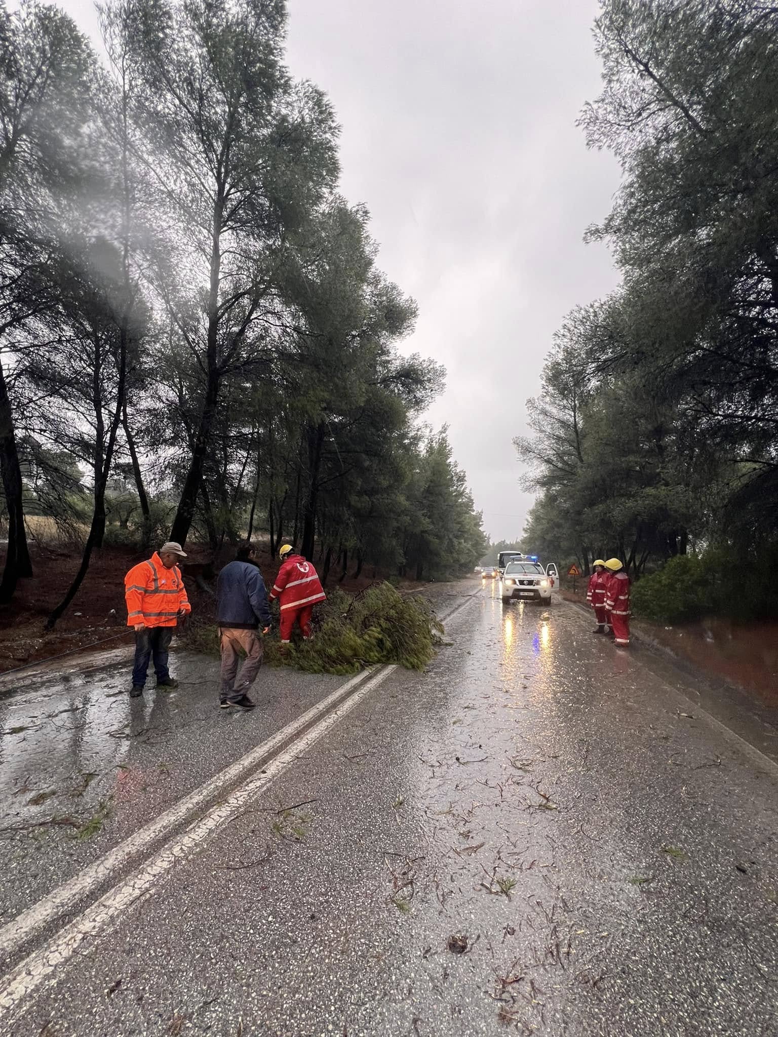 poligiros3.jpg poligiros3.jpg