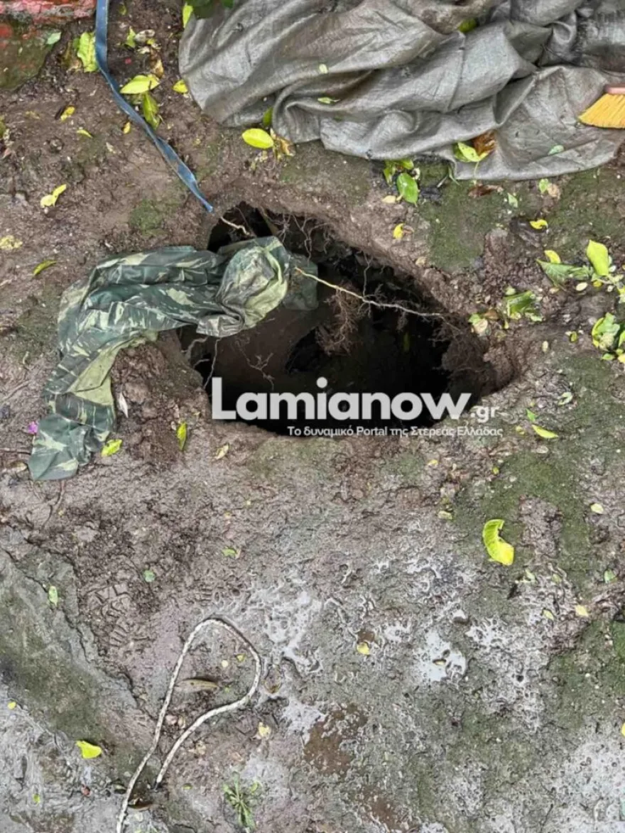 trypa_ayli_lamia_2.jpg trypa_ayli_lamia_2.jpg
