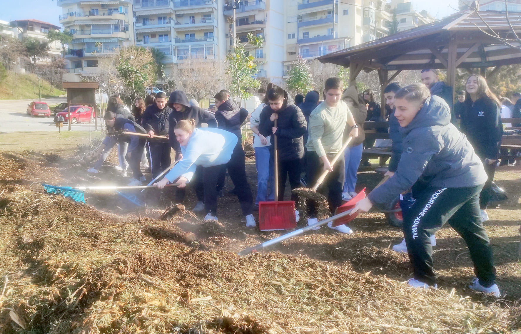 vrosimo_dasos_19.12.2024_11.jpg