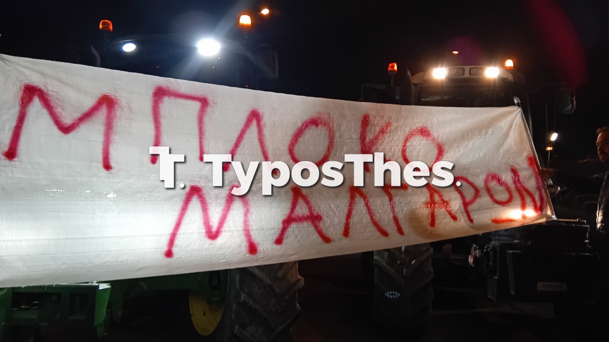 agrotes-malgara_2.jpg agrotes-malgara_2.jpg