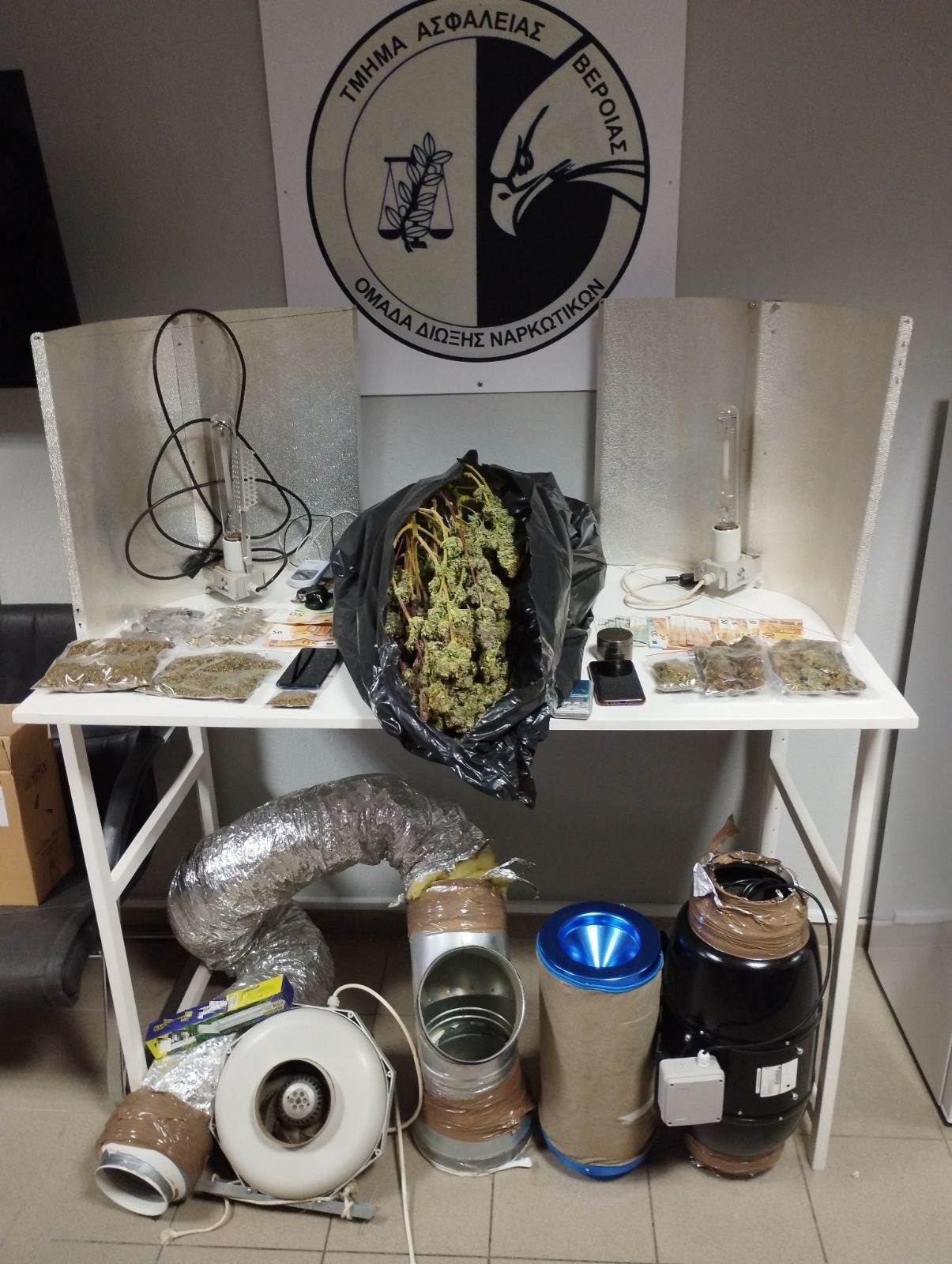 katashesi_kannabis_t.a.beroias.jpg katashesi_kannabis_t.a.beroias.jpg