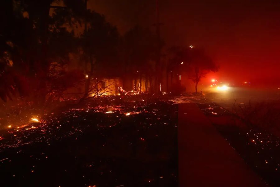 pyrkagia_los_angeles4.jpg pyrkagia_los_angeles4.jpg