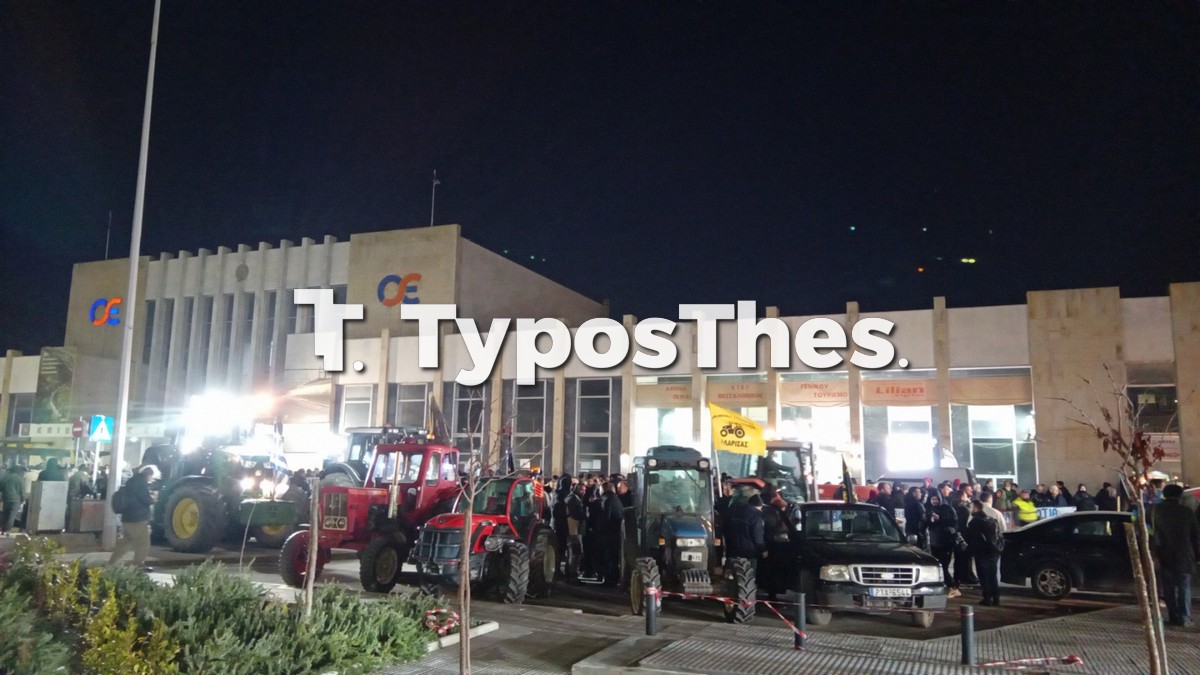 agrotes-thess.jpg agrotes-thess.jpg