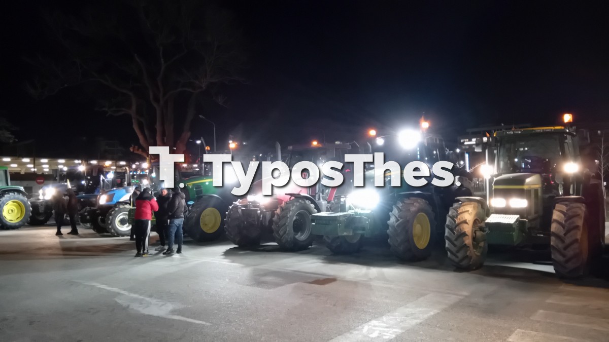 agrotes-thess_2.jpg agrotes-thess_2.jpg