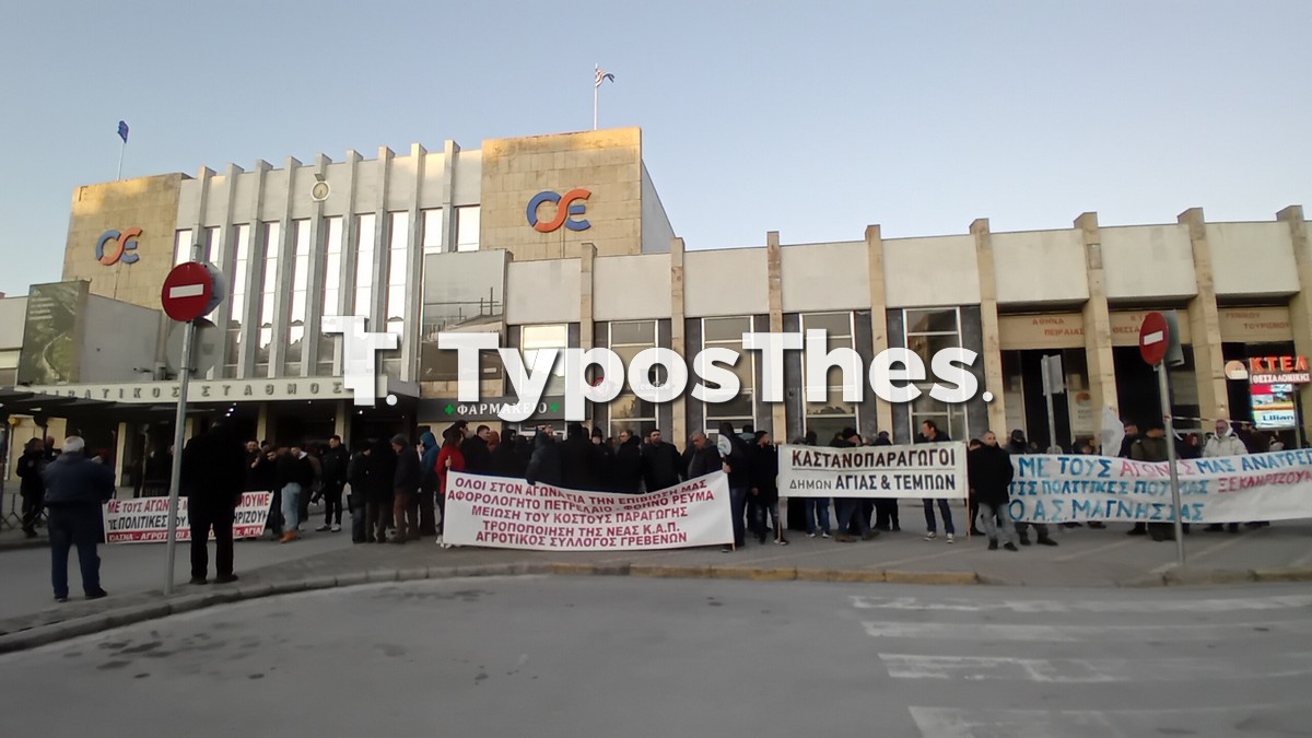 agrotes-thess_3.jpg agrotes-thess_3.jpg