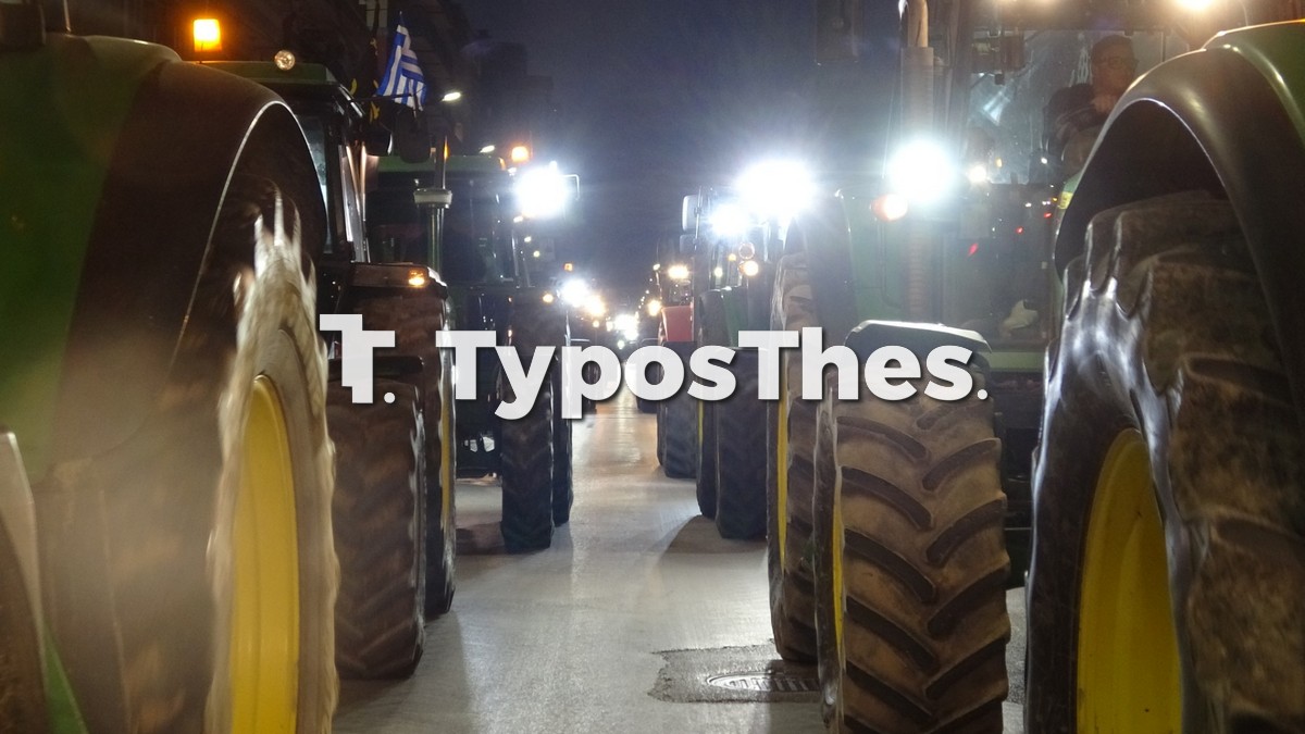 agrotes-thess_4.jpg agrotes-thess_4.jpg