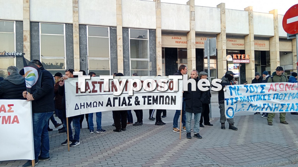 agrotes-thess_5.jpg agrotes-thess_5.jpg