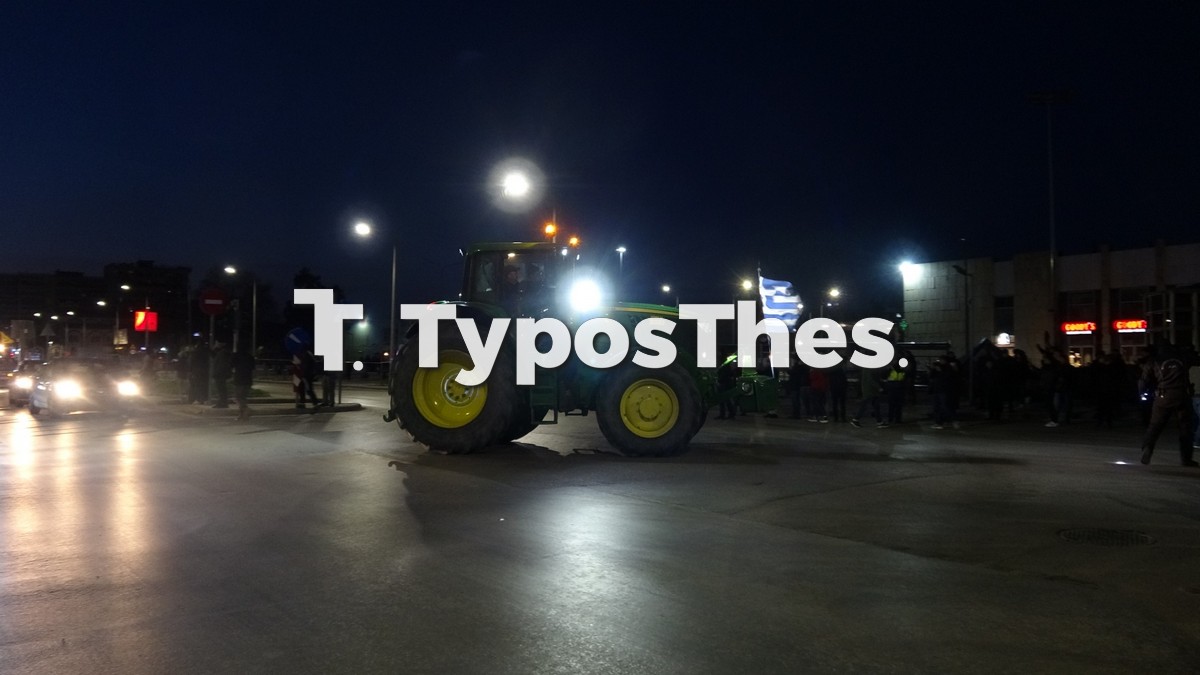 agrotes-thess_5.jpg agrotes-thess_5.jpg