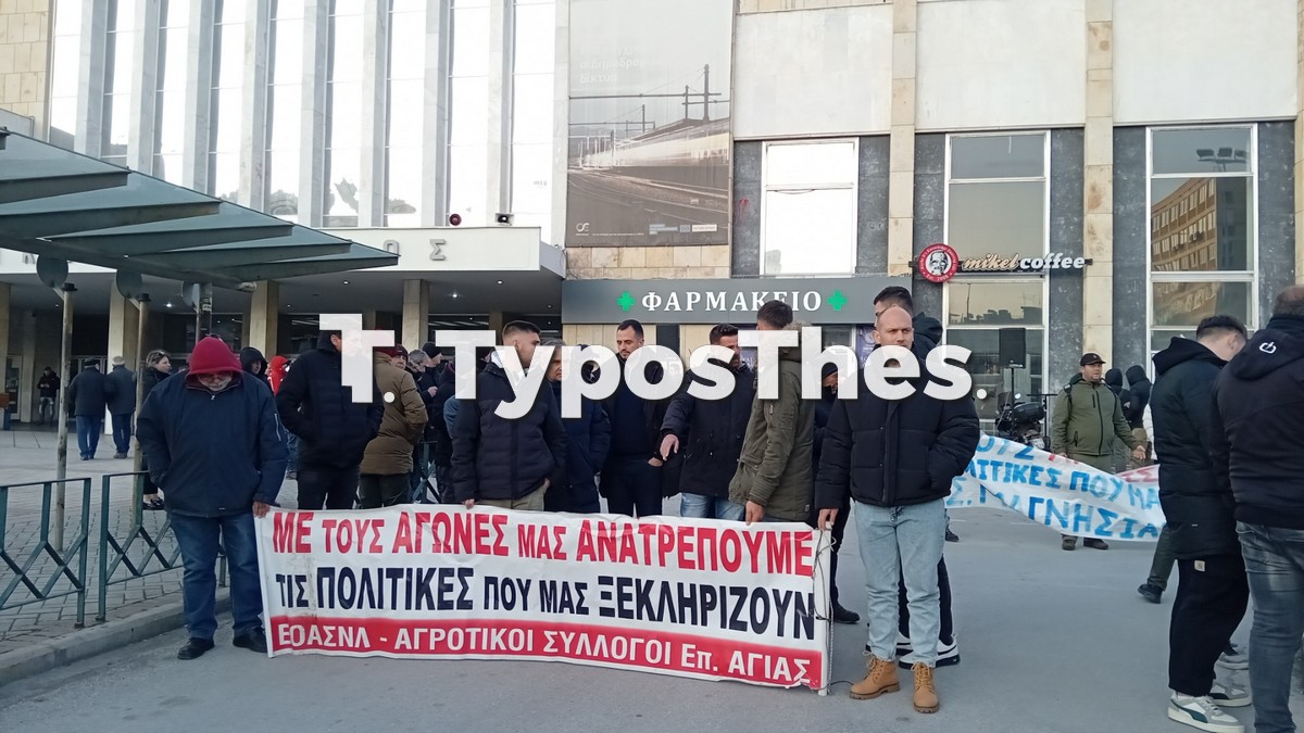 agrotes-thess_6.jpg agrotes-thess_6.jpg