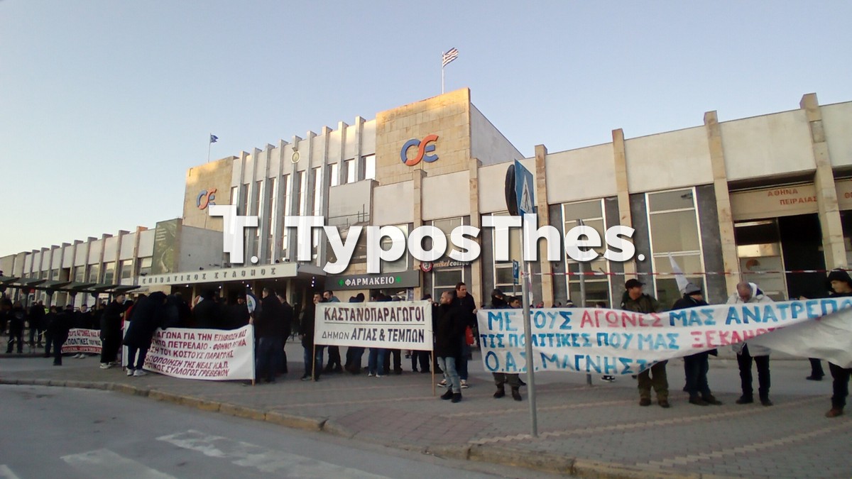 agrotes-thess_7.jpg agrotes-thess_7.jpg