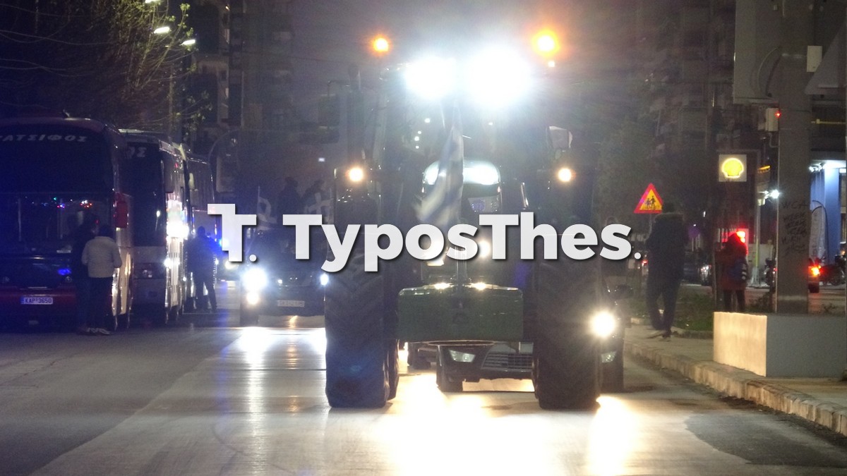 agrotes-thess_7.jpg agrotes-thess_7.jpg