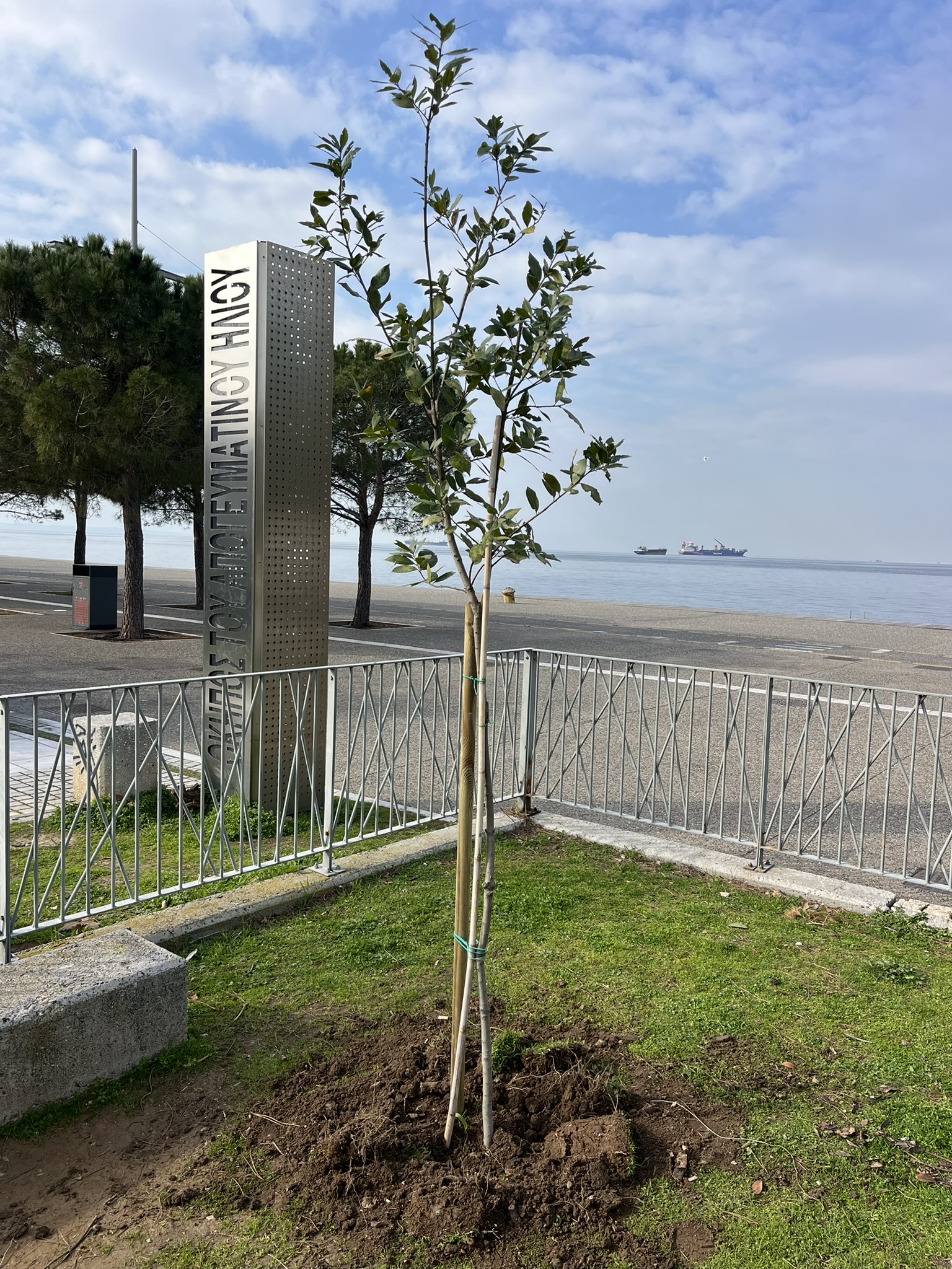 dentra_paralia_3.jpg dentra_paralia_3.jpg