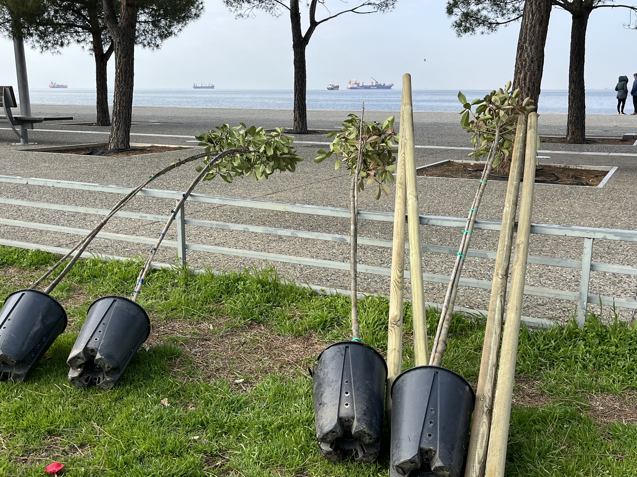 dentra_paralia_4.jpg dentra_paralia_4.jpg