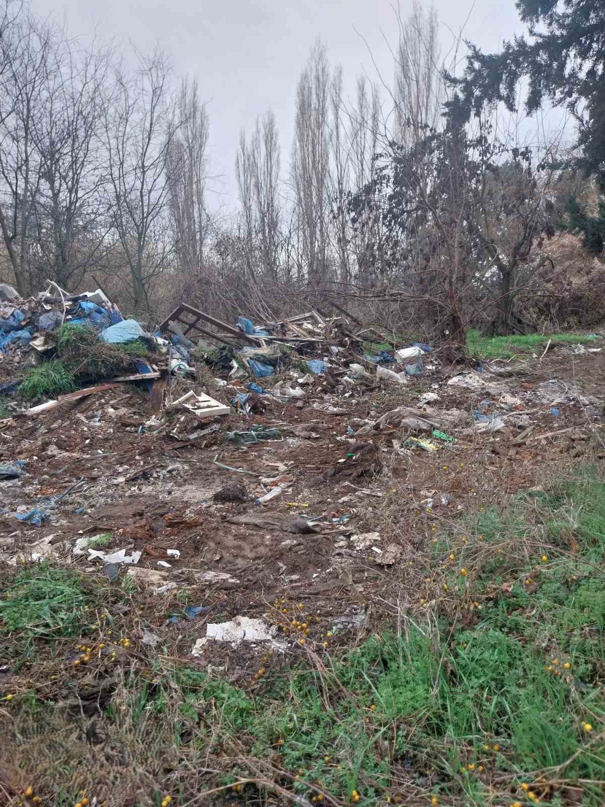 mpaza_gallikos_1.jpg mpaza_gallikos_1.jpg