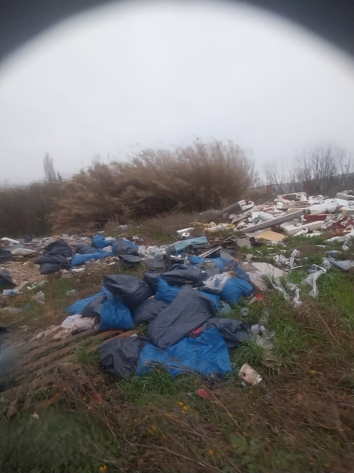 mpaza_gallikos_3.jpg mpaza_gallikos_3.jpg
