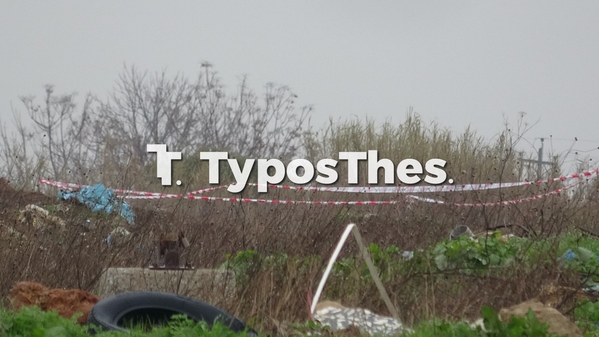 ovida-tsairia_2.jpg ovida-tsairia_2.jpg