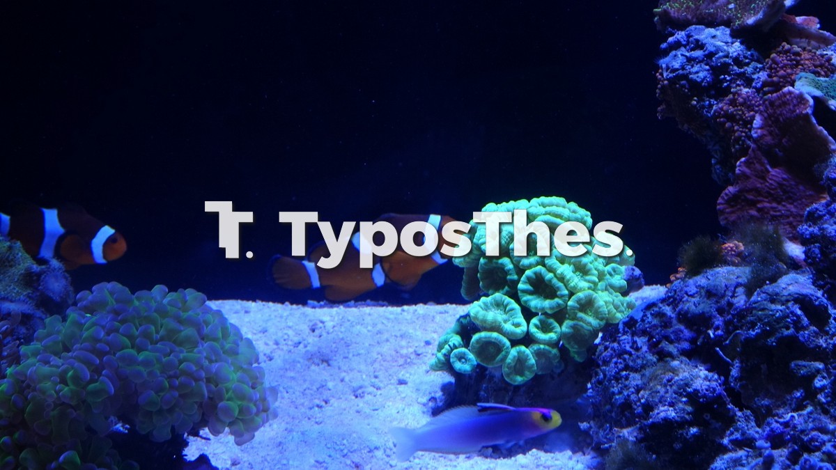 zootecnia_3.jpg zootecnia_3.jpg