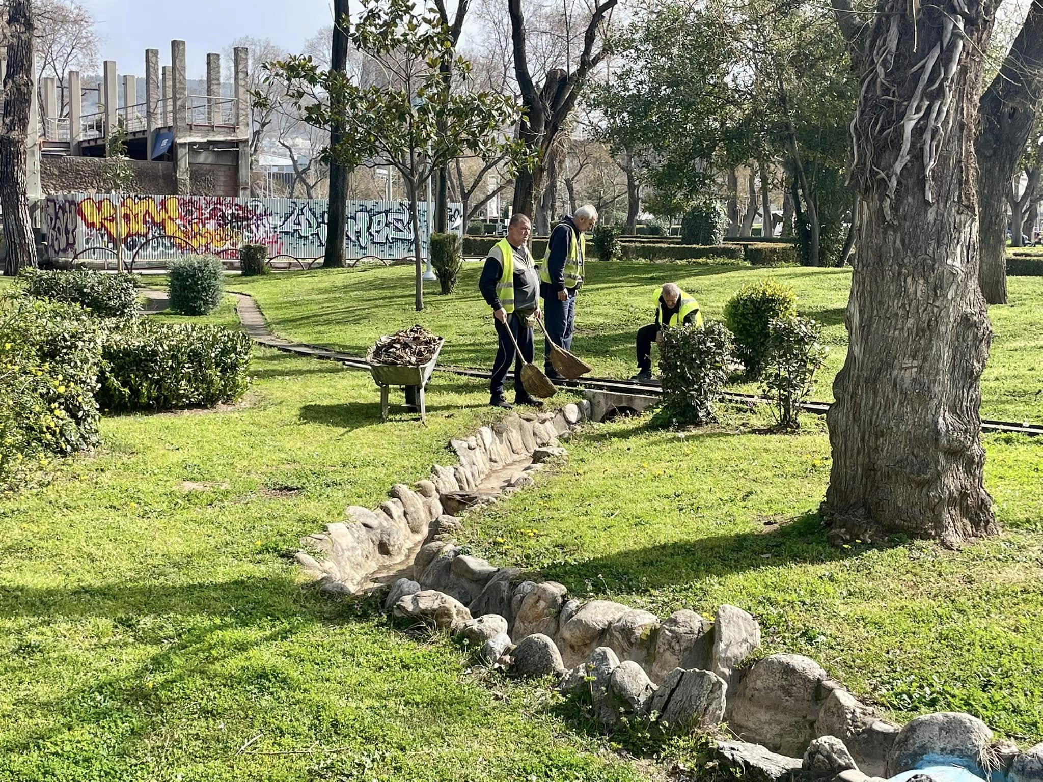dentra_xarhakos_5.jpg dentra_xarhakos_5.jpg